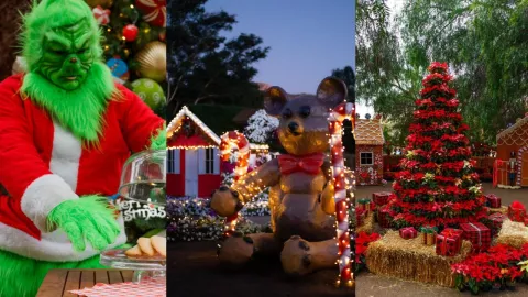 ¿Cuándo abre la Ruta del Maíz Tijuana por Navidad Horarios y precios de entrada en la Villa de Jengibre 2024