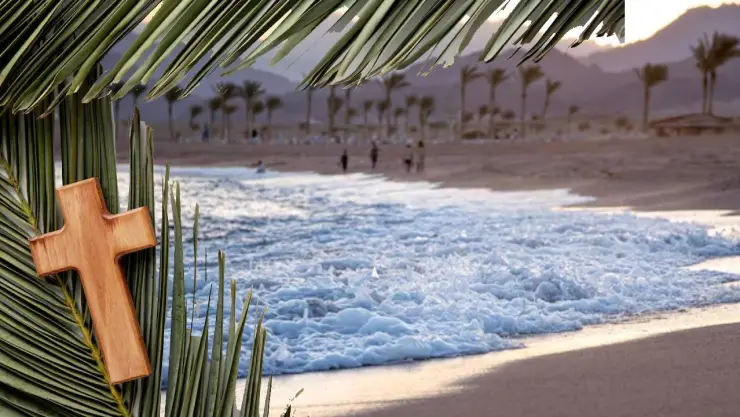 Lugares de Baja California para visitar en Semana Santa 2025