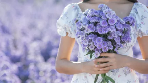 VIDEO ¿Por qué se regalan flores violetas el 9 de noviembre El origen de la tendencia en TikTok