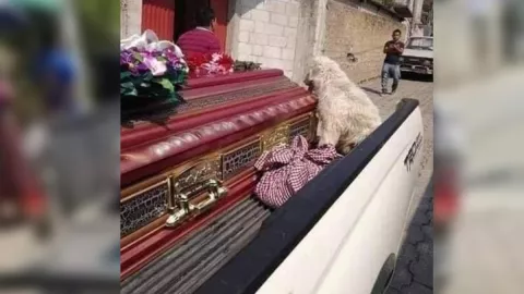 La acompaña a lado del féretro.