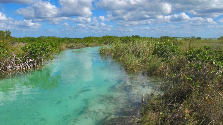 Reserva de la Biosfera Sian Kaan en QRoo, sitio de grandes humedales