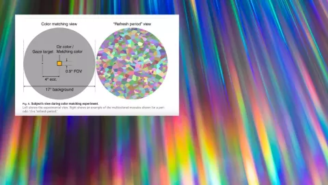 “Olo”: el nuevo color que solo cinco personas han visto en el mundo