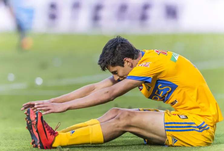 Jürgen Damm sale de Tigres