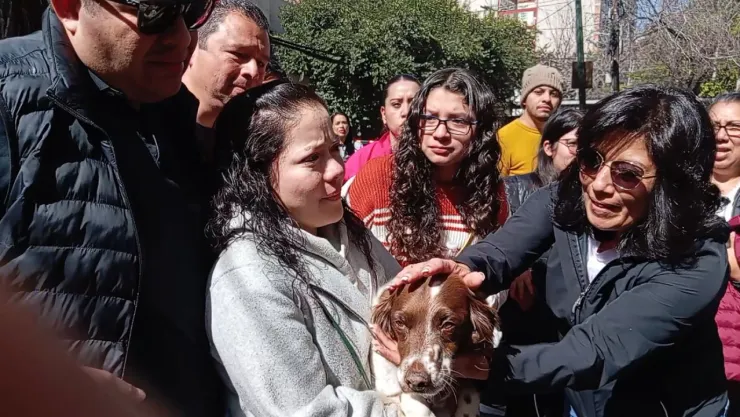 Secuestran a perrito Bruno en una veterinaria clandestina de la Condesa, CDMX