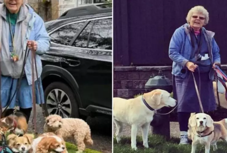 abuelita asesinada defender perros seattle eua