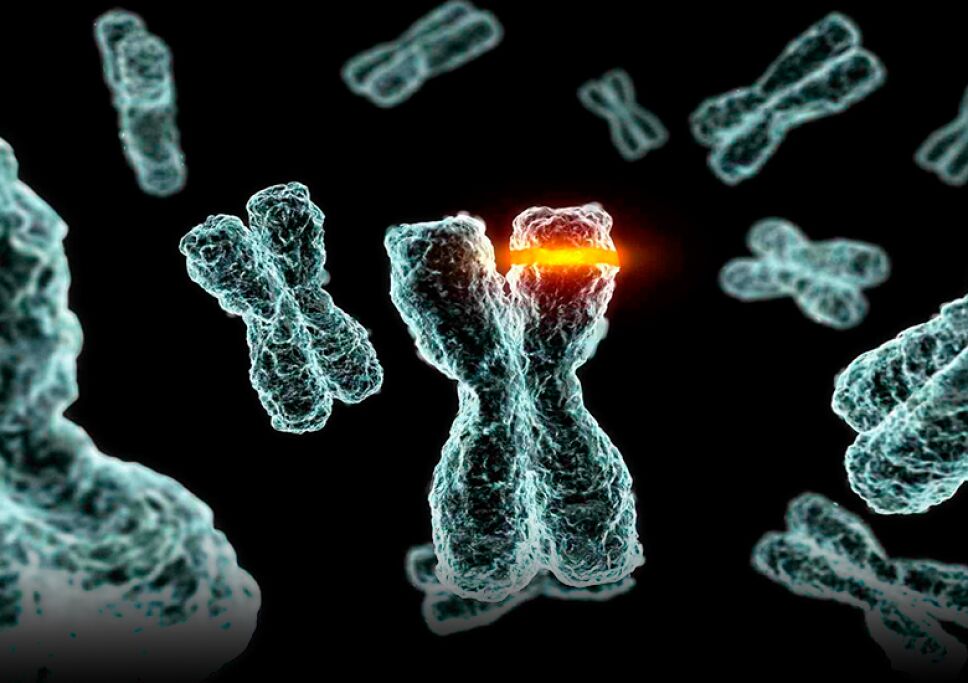 genetica