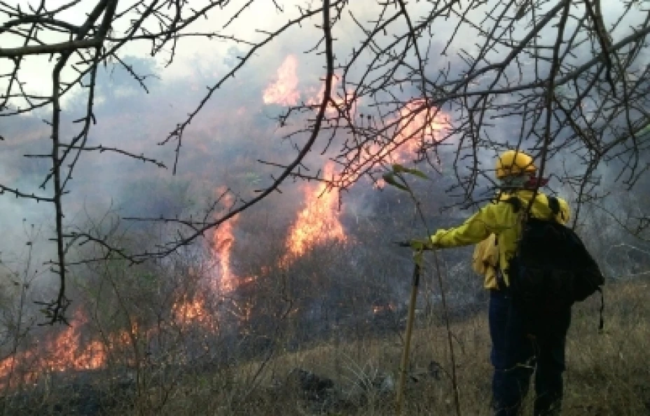 Incendios forestales