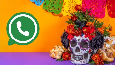 whats de muertos.jpg