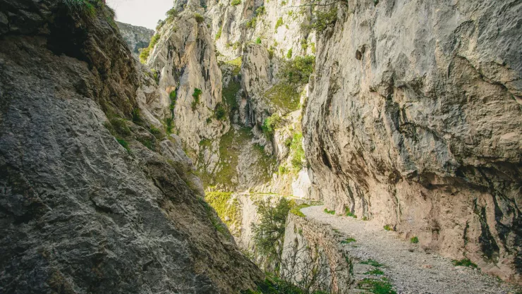 Un anciano cae y queda atrapado en un barranco.jpg