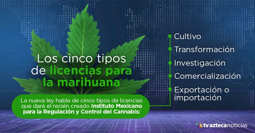 Licencia Marihuana