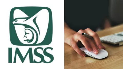 Así puedes tramitar el Número de Seguridad Social del IMSS