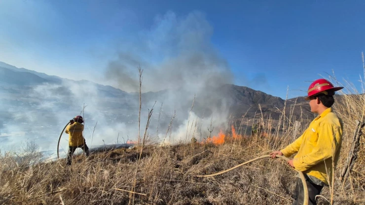 Incendio forestal en Talpa