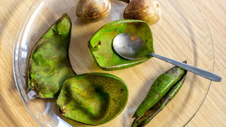 Cáscaras de aguacates en una bandeja.