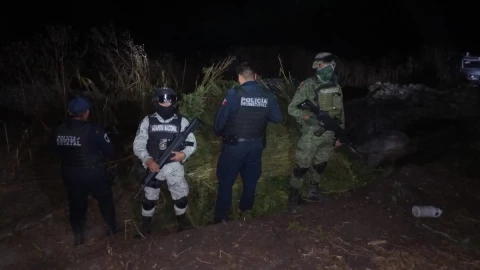 terreno marihuana puebla