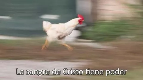 Mejores memes que dejó el sismo de hoy 8 de febrero