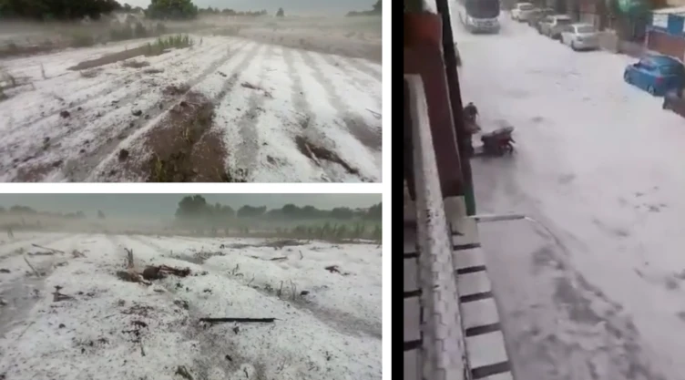 video hidalgo granizada cultivos