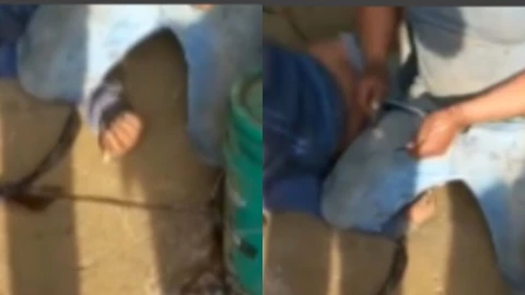 Menor era torturado por sus compañeros de trabajo con toques eléctricos