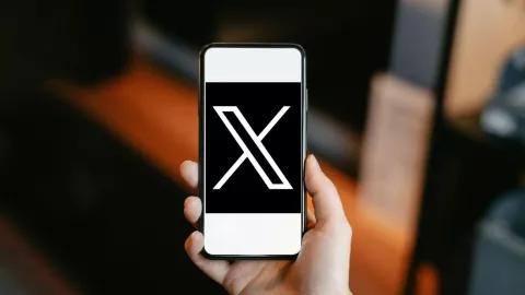 Reportan ca&iacute;da mudial de X