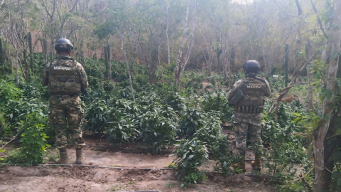 Detienen delincuentes en diversas entidades de México