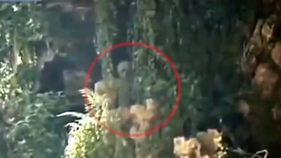 extraterrestre video selva amazónica brasil