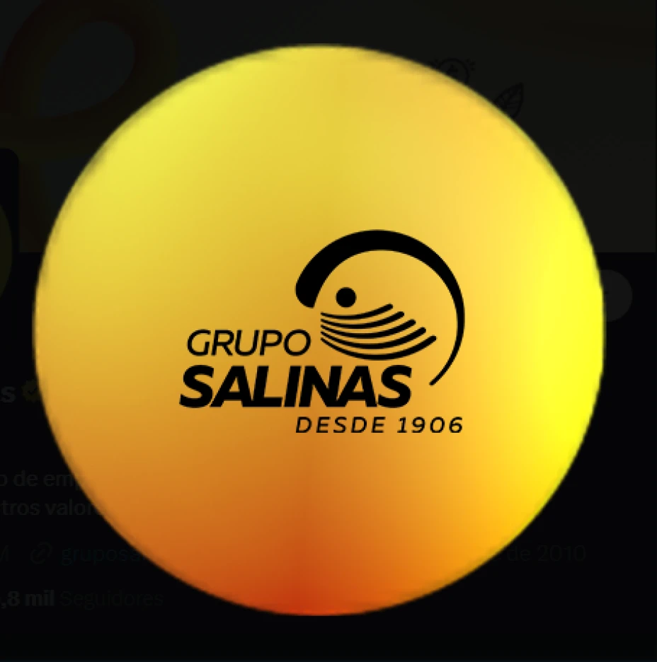 grupo salinas.png