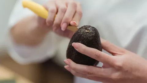 ¿Por qué usar cáscara de aguacate en tus plantas?