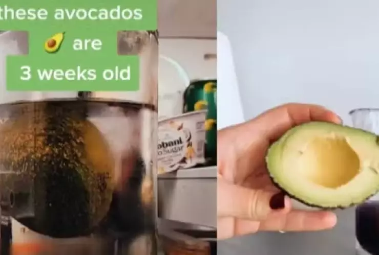 Truco viral para conservar el aguacate podría causar Salmonella (2)