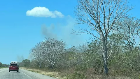 Incendio sobre la carretera Mérida-Motul (FOTO)