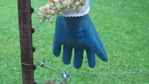 Ideas DIY para darles un nuevo uso a los guantes que ya no usas
