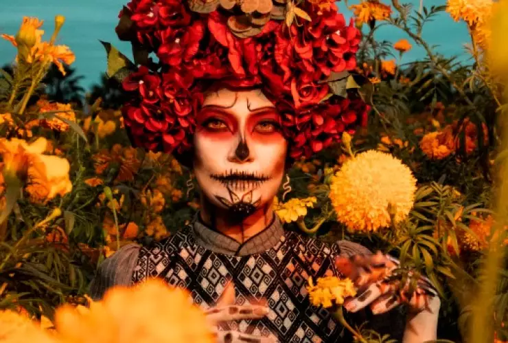 La guía de los mejores campos de cempasúchil en México