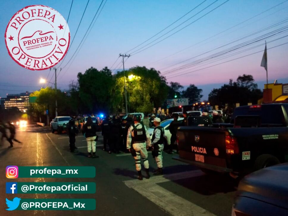 Operativo Tlalpan Profepa