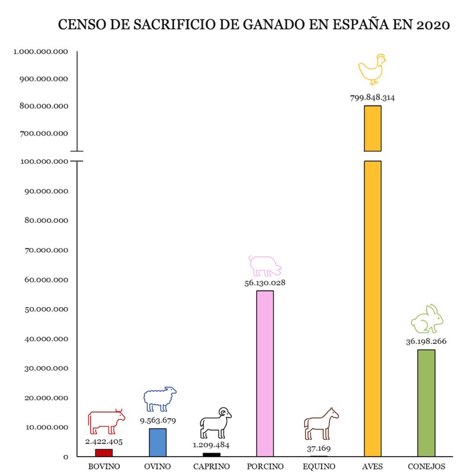 sacrificio de ganado en españa