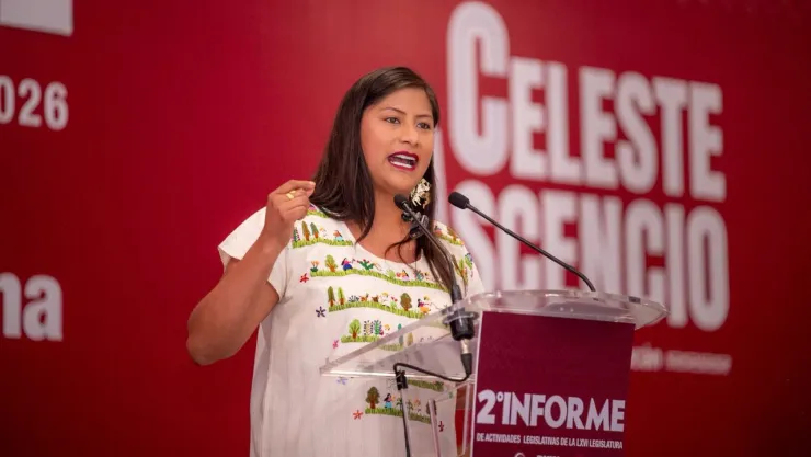 Senadora de Morena Celeste Ascencio.