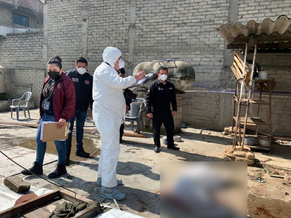 Silver, perrito asesinado en Tlalnepantla, será cremado