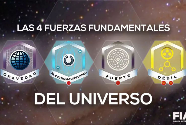 LAS 4 FUERZAS FUNDAMENTALES DEL UNIVERSO CMS.jpg