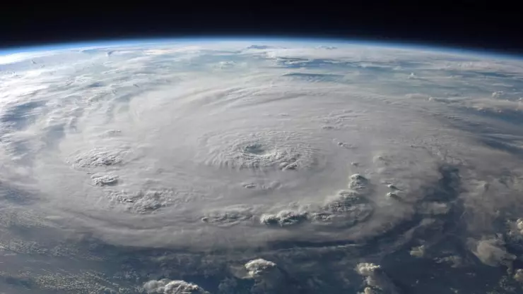 pexels-pixabay-76969 (2).jpg