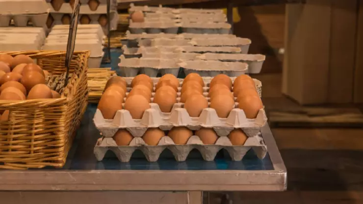 Precio del huevo en mayo de 2024 en CDMX, Edomex y otros estados