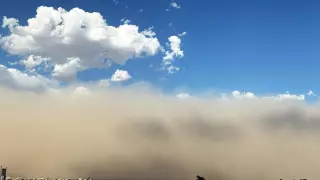 WhatsApp Image 2025-08-08 at 10.47.02 AM.jpeg