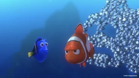 Buscando a Nemo