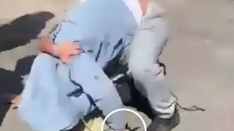 Pelea secundaria.jpeg