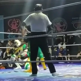Lucha libre