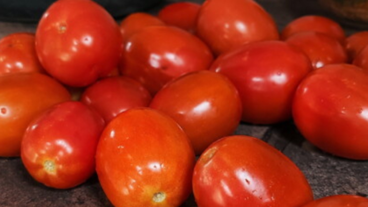 Conoce el precio del tomate hoy