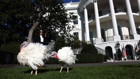 Joe Biden indulta a “Peach” y “Blossom” dos pavos por el Día de Acción de Gracias