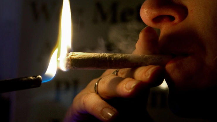 malta cannabis