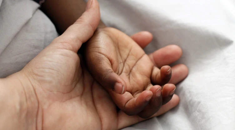 IPN sistema de emparejamiento adopción