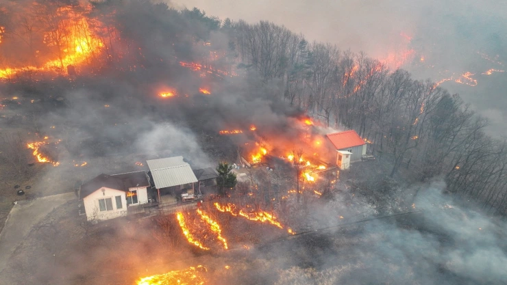 ¿Qué pasa con los incendios en Corea del Sur?