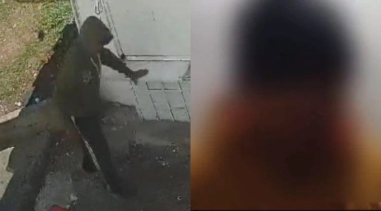Agresor perro Taquito se disculpa maltrato edomex