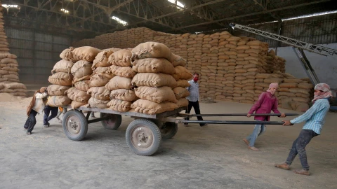 Foto del lunes de un grupo de trabajadores moviendo sacos de arroz en una empresa procesadora de alimentos en las afueras de Ahmedabad, India