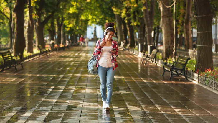 paseo 5 de febrero diferencia entre paseo y avenida.jpg