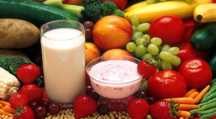alimentos probióticos prebióticos qué son salud intestinal